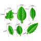 Assorted Leaves 6-in-1 Fondant Mould