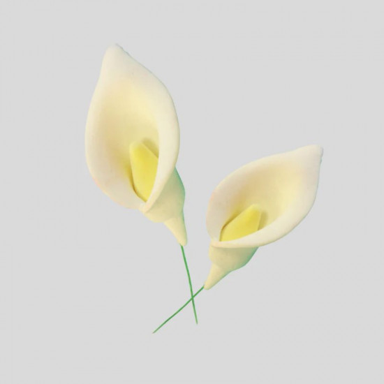 Arum Lily Cutters and Veiner