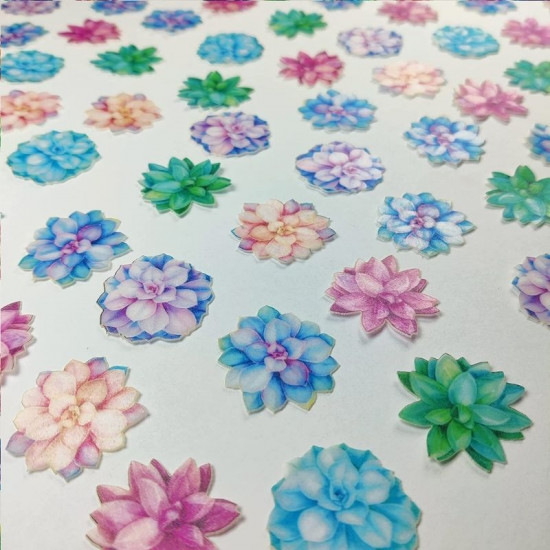 Succulent Flowers Wafer WPC 50 (35 Pcs) - Tastycrafts