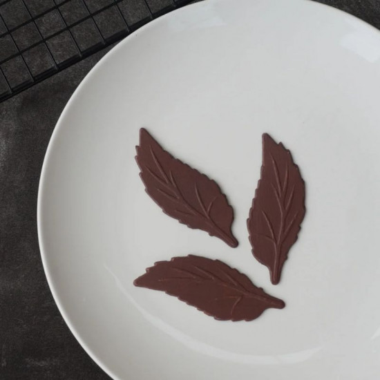 Silicone Chocolate Garnishing Mould - Lanceolate Leaf