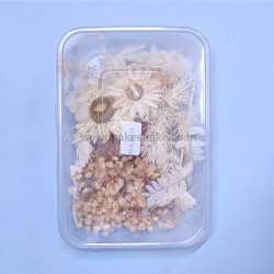 Natural Real Dried Flowers for Art Craft, Soap, Candle, Scrapbook, Resin, Jewellery 20513