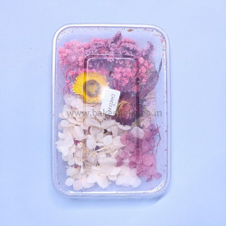 Natural Real Dried Flowers for Art Craft, Soap, Candle, Scrapbook, Resin, Jewellery 2052