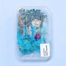 Natural Real Dried Flowers for Art Craft, Soap, Candle, Scrapbook, Resin, Jewellery 2052B