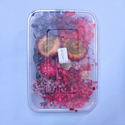 Natural Real Dried Flowers for Art Craft, Soap, Candle, Scrapbook, Resin, Jewellery 2053