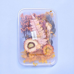 Natural Real Dried Flowers for Art Craft, Soap, Candle, Scrapbook, Resin, Jewellery 20541