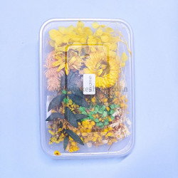 Natural Real Dried Flowers for Art Craft, Soap, Candle, Scrapbook, Resin, Jewellery 20543
