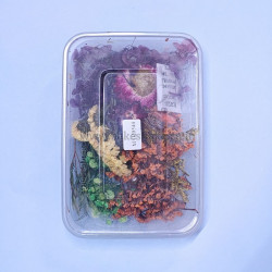Natural Real Dried Flowers for Art Craft, Soap, Candle, Scrapbook, Resin, Jewellery 20544