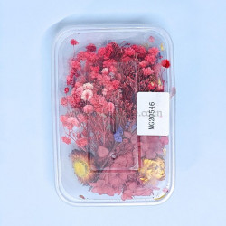 Natural Real Dried Flowers for Art Craft, Soap, Candle, Scrapbook, Resin, Jewellery 20548