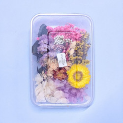 Natural Real Dried Flowers for Art Craft, Soap, Candle, Scrapbook, Resin, Jewellery 20548