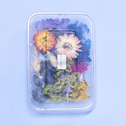 Natural Real Dried Flowers for Art Craft, Soap, Candle, Scrapbook, Resin, Jewellery 20549