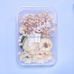 Natural Real Dried Flowers for Art Craft, Soap, Candle, Scrapbook, Resin, Jewellery 20551