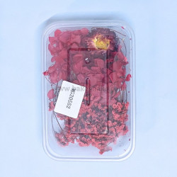 Natural Real Dried Flowers for Art Craft, Soap, Candle, Scrapbook, Resin, Jewellery 20552