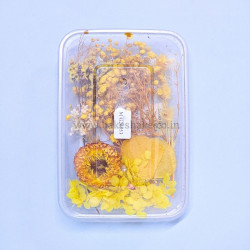 Natural Real Dried Flowers for Art Craft, Soap, Candle, Scrapbook, Resin, Jewellery 20553