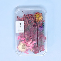 Natural Real Dried Flowers for Art Craft, Soap, Candle, Scrapbook, Resin, Jewellery 2057
