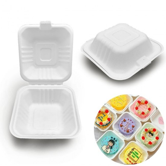 Bento Box - 5X5 inches (Pack Of 25)