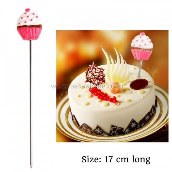 Cake Tester Probe Skewer