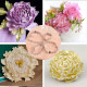 Peony Flower Petal Cutter Set Stainless Steel