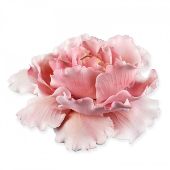 Peony Flower Plunger Cutter Set