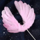 Pink Angel Feather Wings Cake Topper