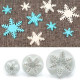 Snow Flakes Plunger Cutter